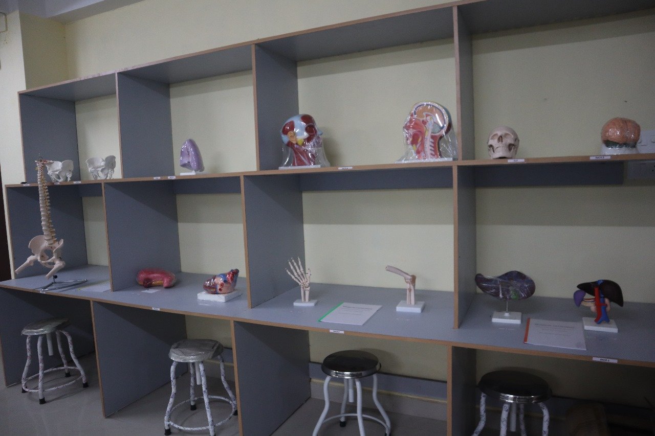 Gallery Image 57
